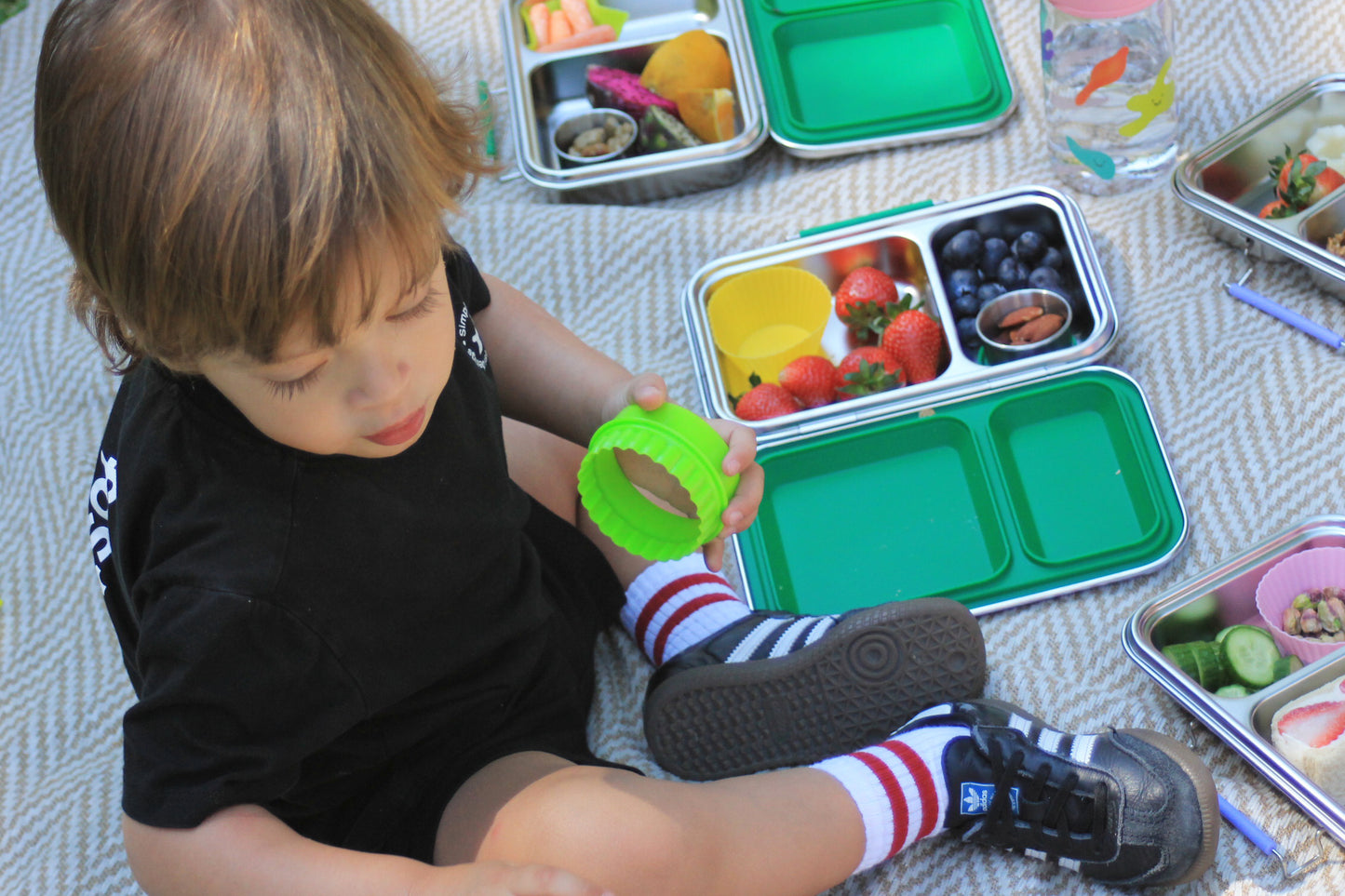 Bento Box